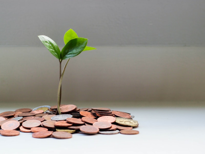 SoFi financial platform